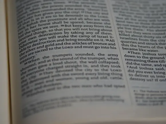 كازينو غراند إيجل الدعم